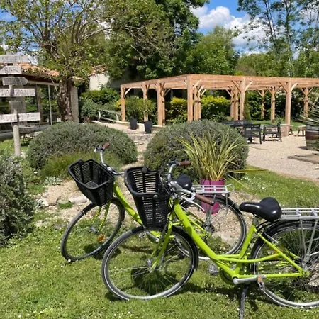 Camping Spacieux 3 Avec Terrasse - Api-1-52-660 Coulon