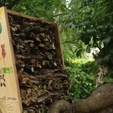 Spacieux 3 Avec Terrasse - Api-1-52-660 *