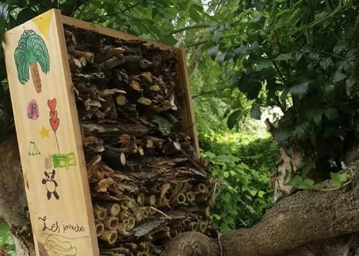 Spacieux 3 Avec Terrasse - Api-1-52-660 Camping