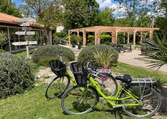 Camping Spacieux 3 Avec Terrasse - Api-1-52-660 Coulon